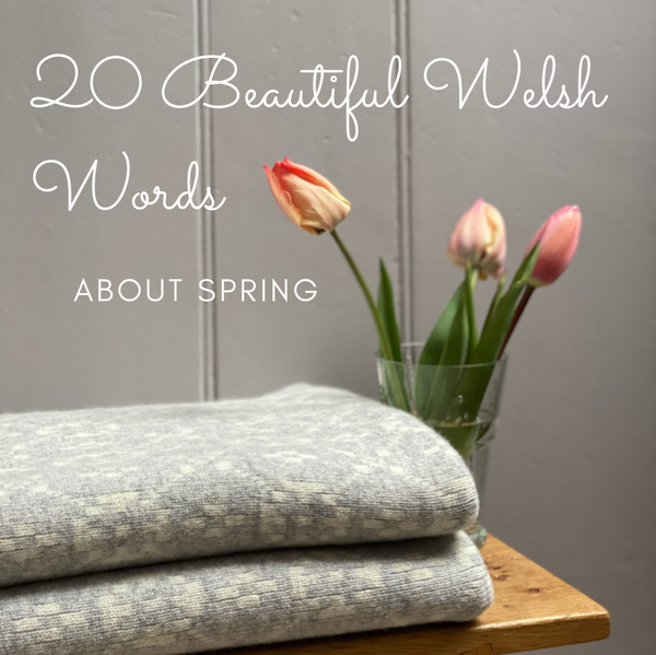 Gorgeous Welsh Words about Spring