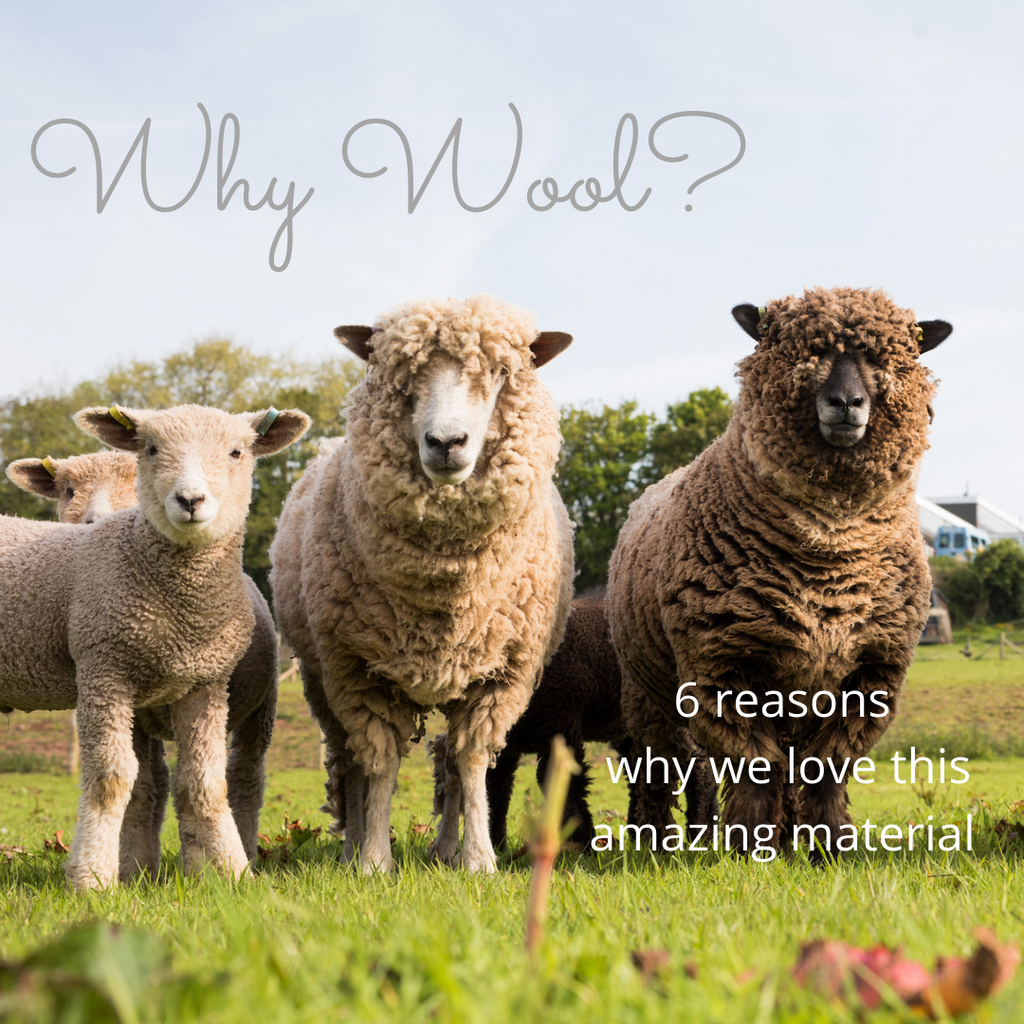 Why Wool? Six reasons why we love this amazing material