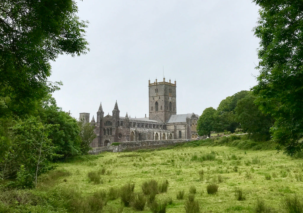 St Davids (Tyddewi): Where to go with kids in tow